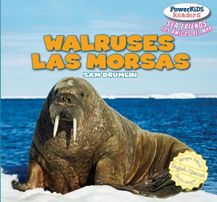 【预订】walruses / las morsas
