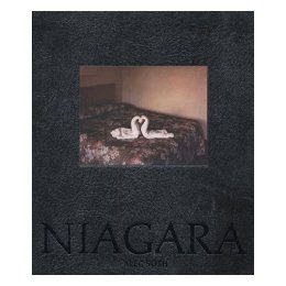 alec soth: niagara--alec soth: 尼亚加拉河