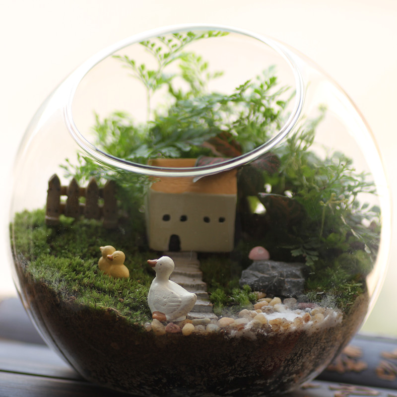 【门前】主题 苔藓微景观 苔藓生态瓶 diy桌面盆栽生态桌宠