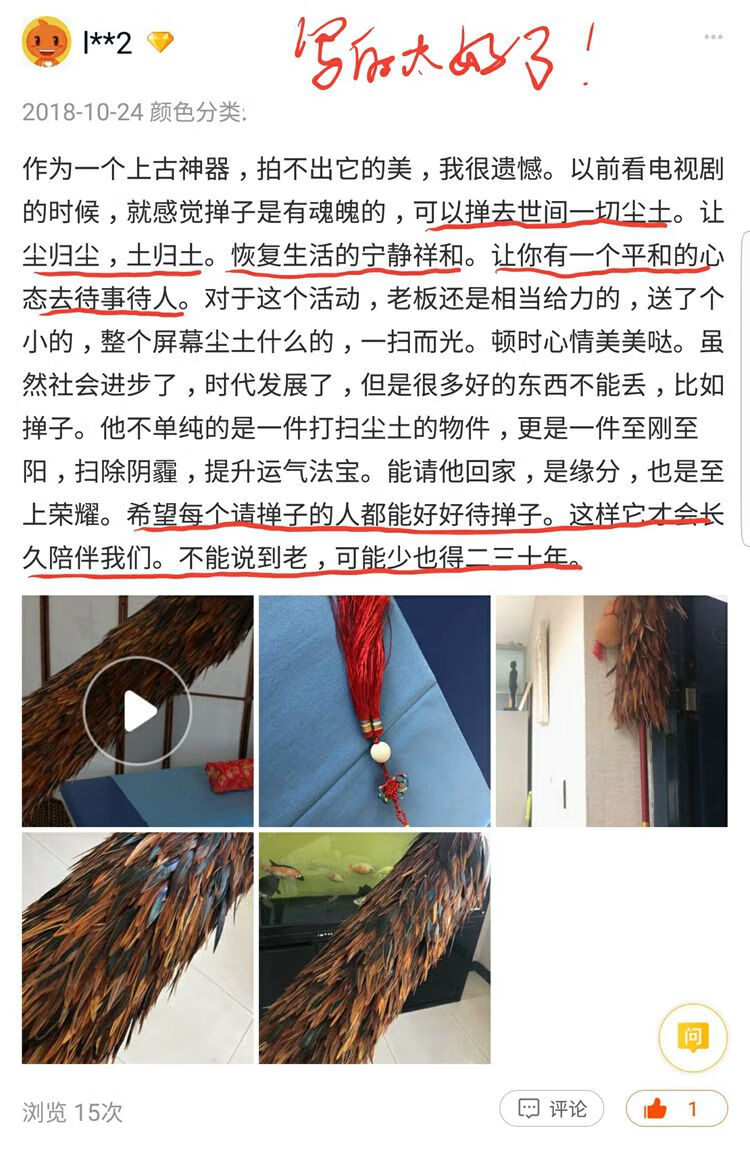 赵氏贡掸中号珍品级系列鸡毛掸子家具除尘 装饰摆设 墨龙 铜鹤架1套