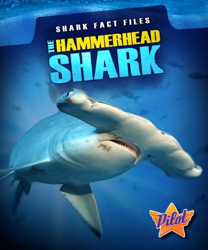 【预订】the hammerhead shark