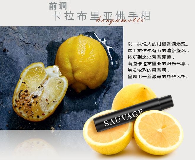 迪奥（Dior）男士香水中小样 旷野1ml*3