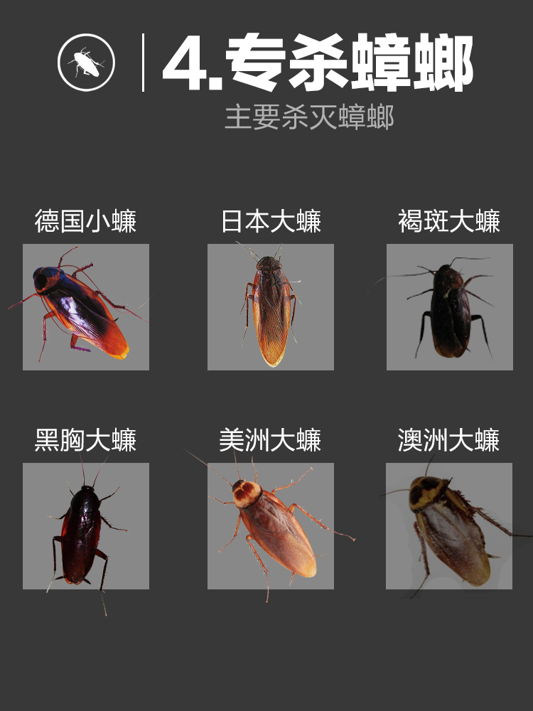 黑旋风 杀蟑气雾剂 清香型600ml 杀虫剂 专杀蟑螂 灭蟑 杀虫水 除虫剂