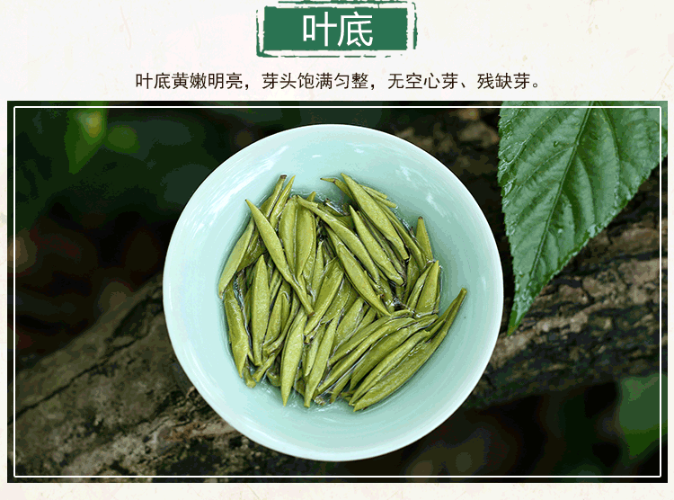 重庆特产茶叶 2021新茶 巴南银针明前级50g 明前茶高山茶