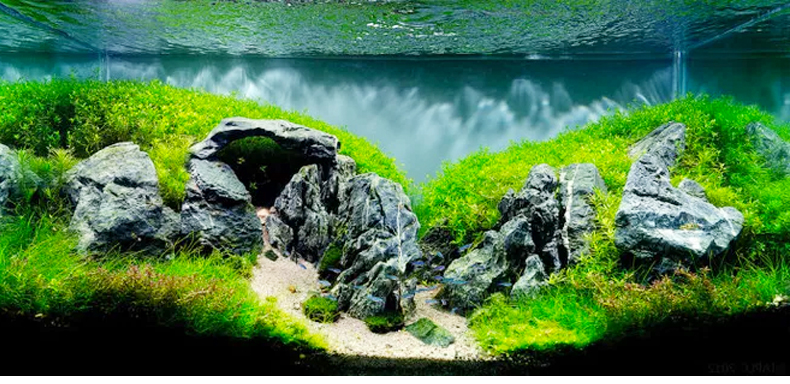 石光小站 鱼缸造景套餐盆景布景装饰假山天然青龙石头