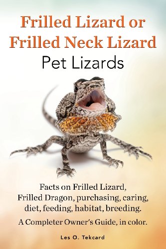 【预订】frilled lizard or frilled neck lizard