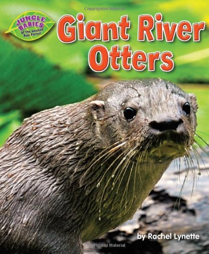 【预订】giant river otters