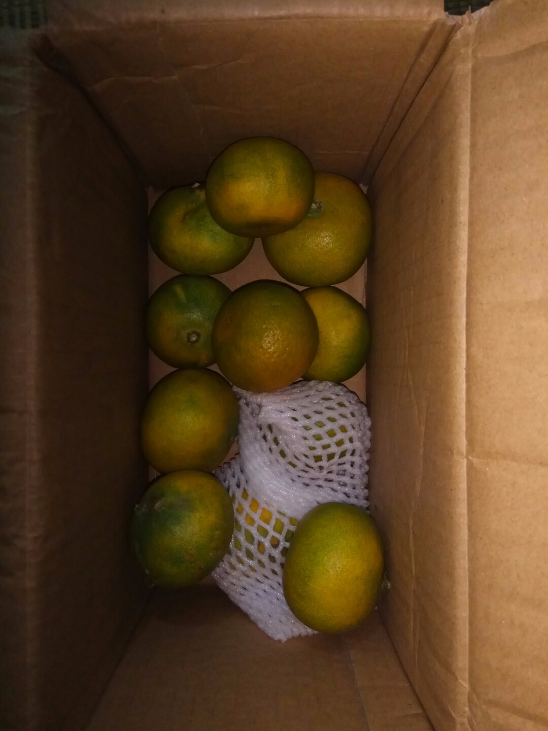 湖北宜昌特产 窑湾蜜桔3斤装15个 普早青皮橘