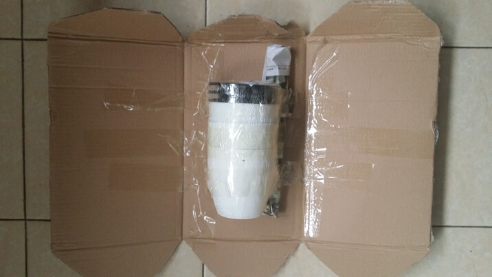 君子兰限量秒杀3-8年苗包活 买就送君子兰专用