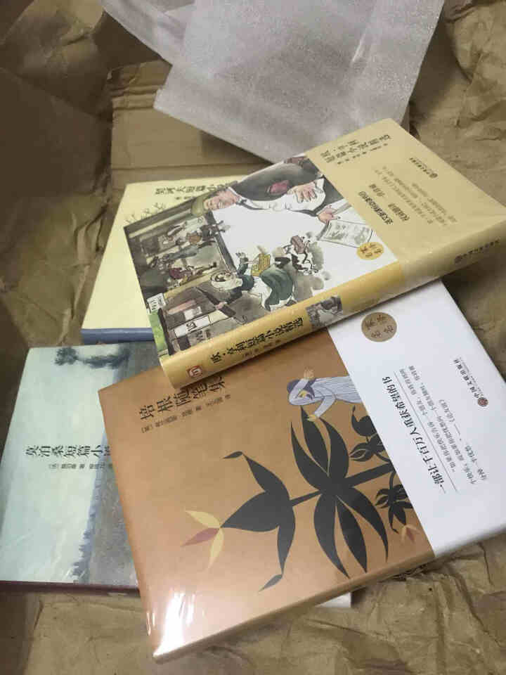 精装版世界名著全4册 契诃夫欧亨利莫泊桑短篇小说精选培根随笔集中小学课外必读书籍怎么样，好用吗，口碑，心得，评价，试用报告,第3张