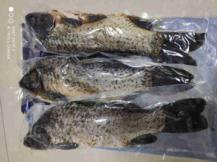 千岛湖鲫鱼 生鲜鱼类海产 三去净膛1400g/三条独立包装鲫鱼汤红烧鱼怎么样，好用吗，口碑，心得，评价，试用报告,第3张