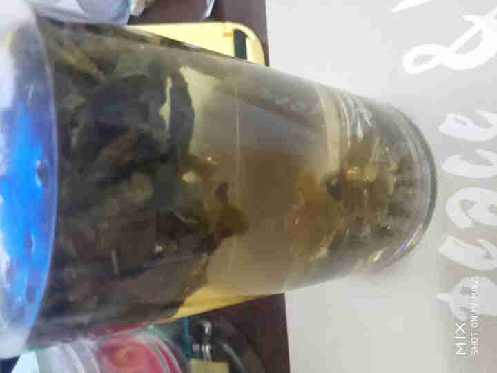 品雅 安溪铁观音茶叶清香型有机乌龙茶散装手工茶独立泡袋 2019年秋茶 品鉴装,第4张