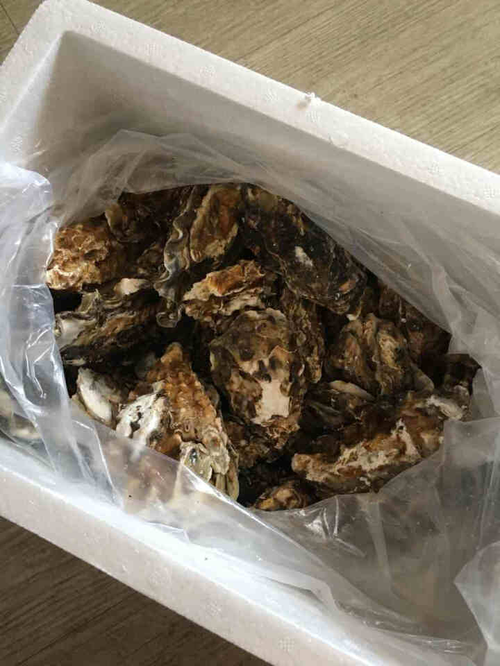 【鲜活】深海客 乳山生蚝2.25kg/箱 26,第2张