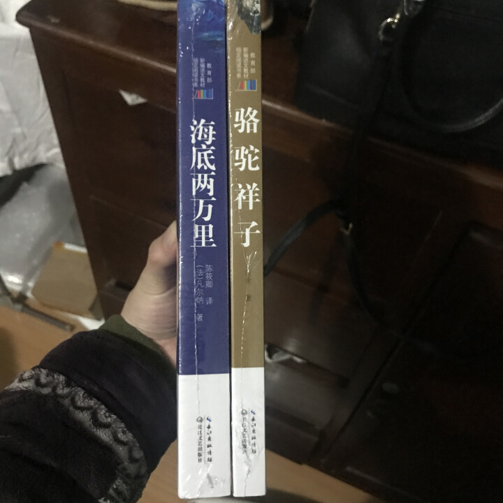 骆驼祥子+海底两万里初一七年级下教育部指定用书 七下套装怎么样，好用吗，口碑，心得，评价，试用报告,第4张