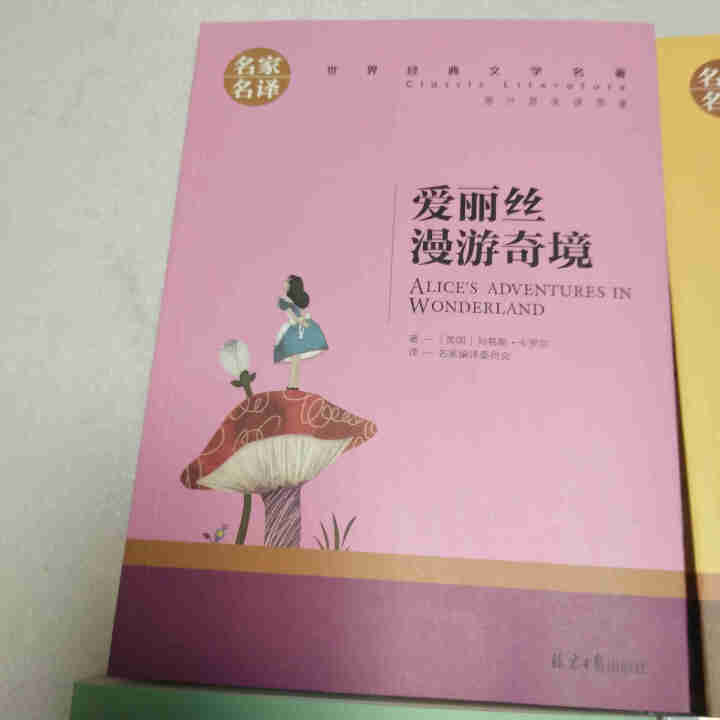 快乐读书吧六年级下册鲁滨逊漂流记汤姆索亚历险记爱丽丝漫游奇境尼尔斯骑鹅旅行记课外阅读必读文学名著书怎么样，好用吗，口碑，心得，评价，试用报告,第4张