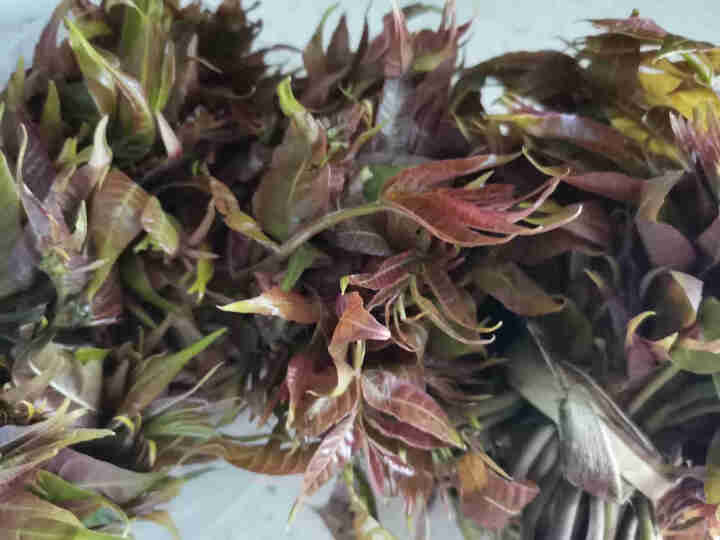 【临潼馆】新鲜香椿芽菜 现摘嫩香椿 500g/箱怎么样，好用吗，口碑，心得，评价，试用报告,第2张