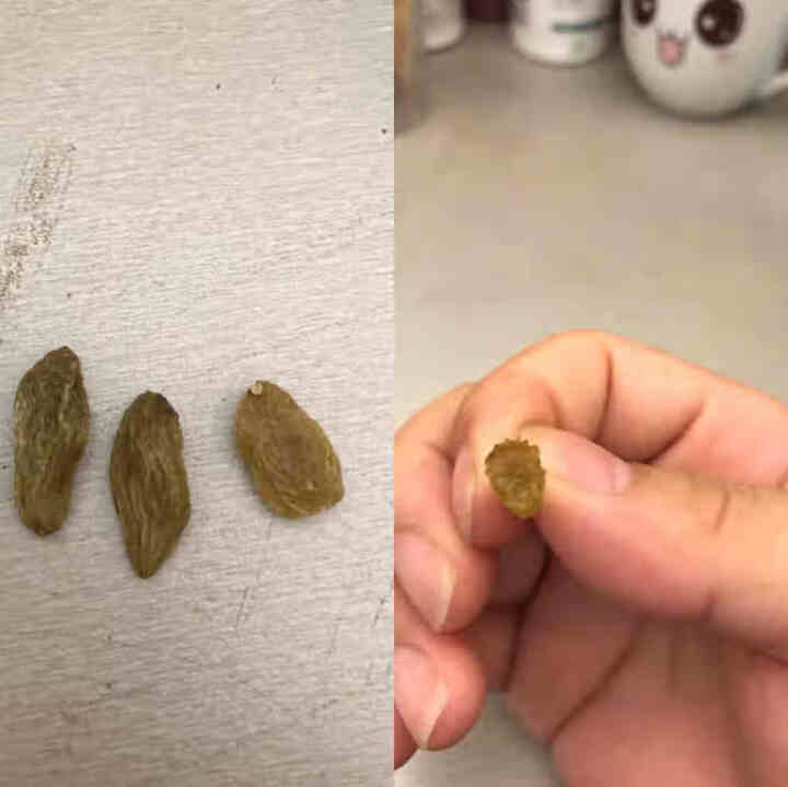 南疆巴朗 黑加仑绿宝石葡萄干 新疆特产大颗粒葡萄干250g/袋孕妇零食 蜜饯果干 绿宝石250g/袋怎么样，好用吗，口碑，心得，评价，试用报告,第4张