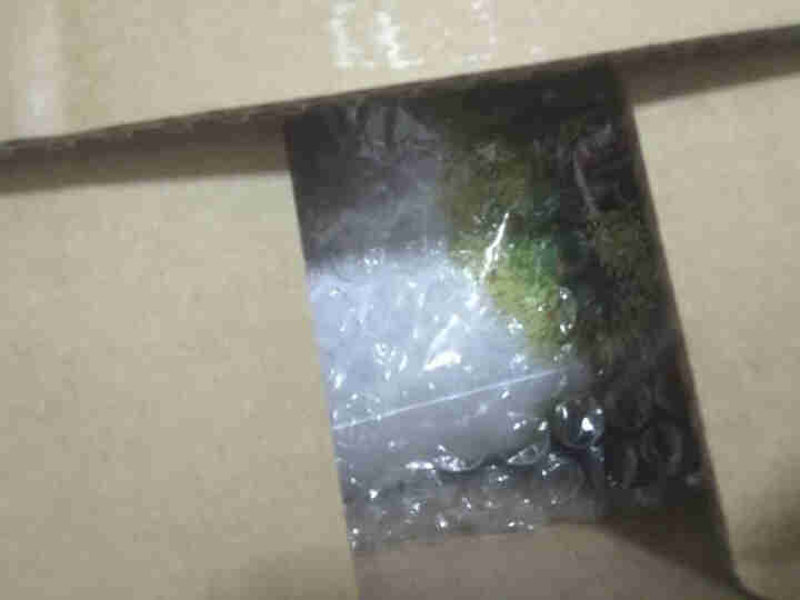 八马茶业 小青柑福鼎白茶 柑白茶 茶叶罐装120g怎么样，好用吗，口碑，心得，评价，试用报告,第4张