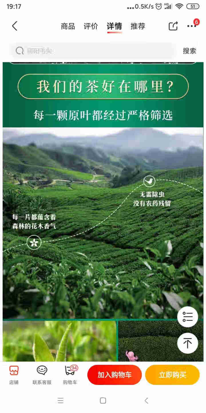 松佰 毛尖茶叶 发2袋共500克 2020新茶一级绿茶明前春茶嫩芽浓香型 原产毛尖绿茶散装 250g/袋怎么样，好用吗，口碑，心得，评价，试用报告,第4张