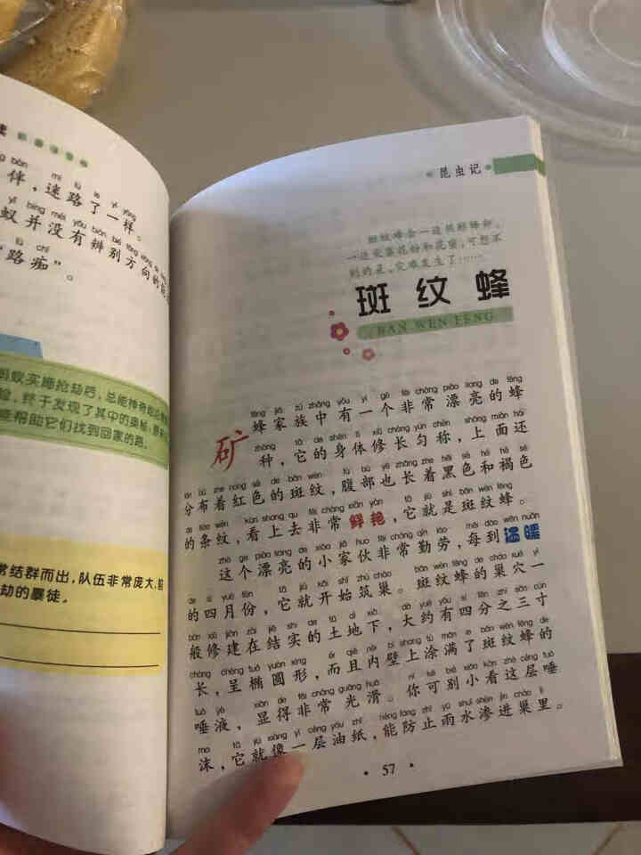 【4本21元】少儿彩图注音版世界经典文学名著 新课标课外阅读班主任推荐必读书目 昆虫记怎么样，好用吗，口碑，心得，评价，试用报告,第4张