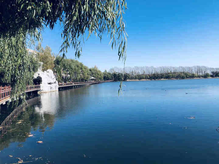 谜草集烟酰胺美白面膜正品补水保湿提亮肤色收缩毛孔紧致女士 1片体验装怎么样，好用吗，口碑，心得，评价，试用报告,第2张