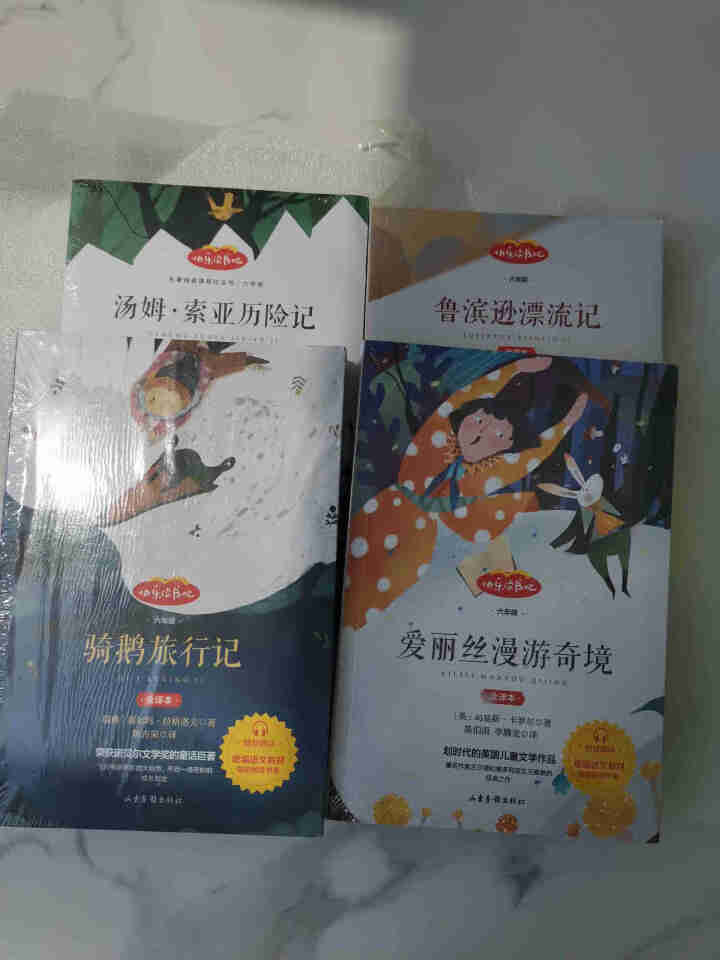 快乐读书吧六年级下册全4册 骑鹅旅行记 鲁滨逊漂流记 汤姆索亚历险记爱丽丝漫游记儿童文学课外阅读书籍怎么样，好用吗，口碑，心得，评价，试用报告,第3张