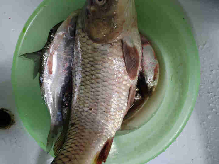 鸿兴源酸菜鱼调料火锅底料酸汤鱼肥牛易做泡菜汤料包家用 酸菜鱼1袋装怎么样，好用吗，口碑，心得，评价，试用报告,第4张