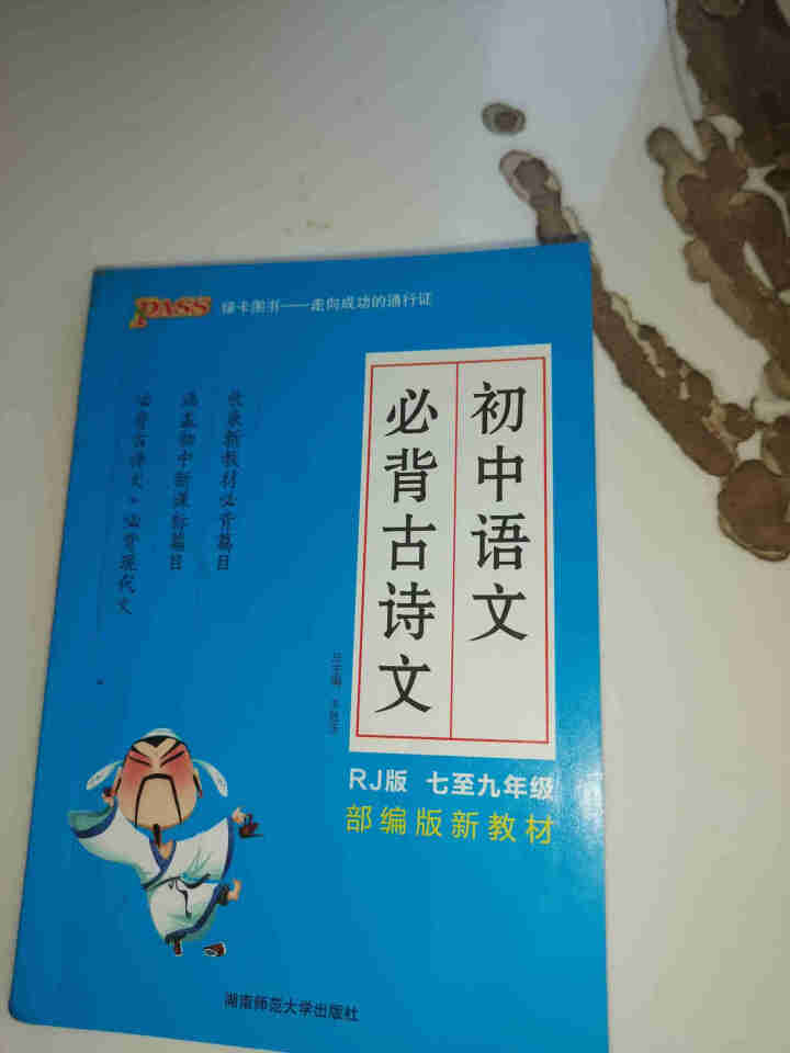 pass绿卡图书初中语文必背古诗文人教版RJ版部编版七八九年级7,第2张