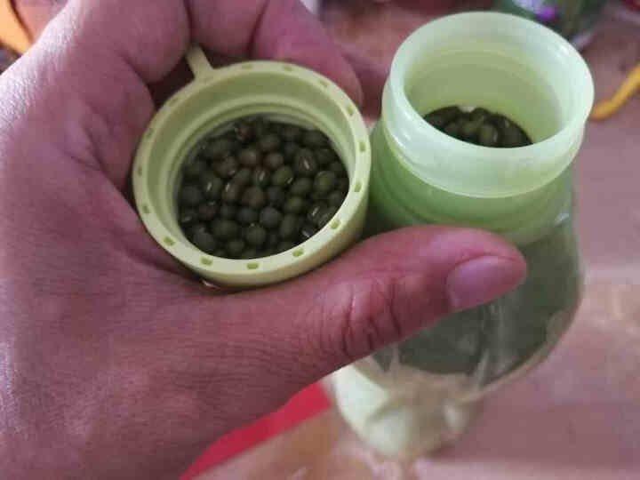 盖亚农场 有机绿豆450g东北农家五谷杂粮新鲜薄皮小绿豆汤粥 450g怎么样，好用吗，口碑，心得，评价，试用报告,第4张