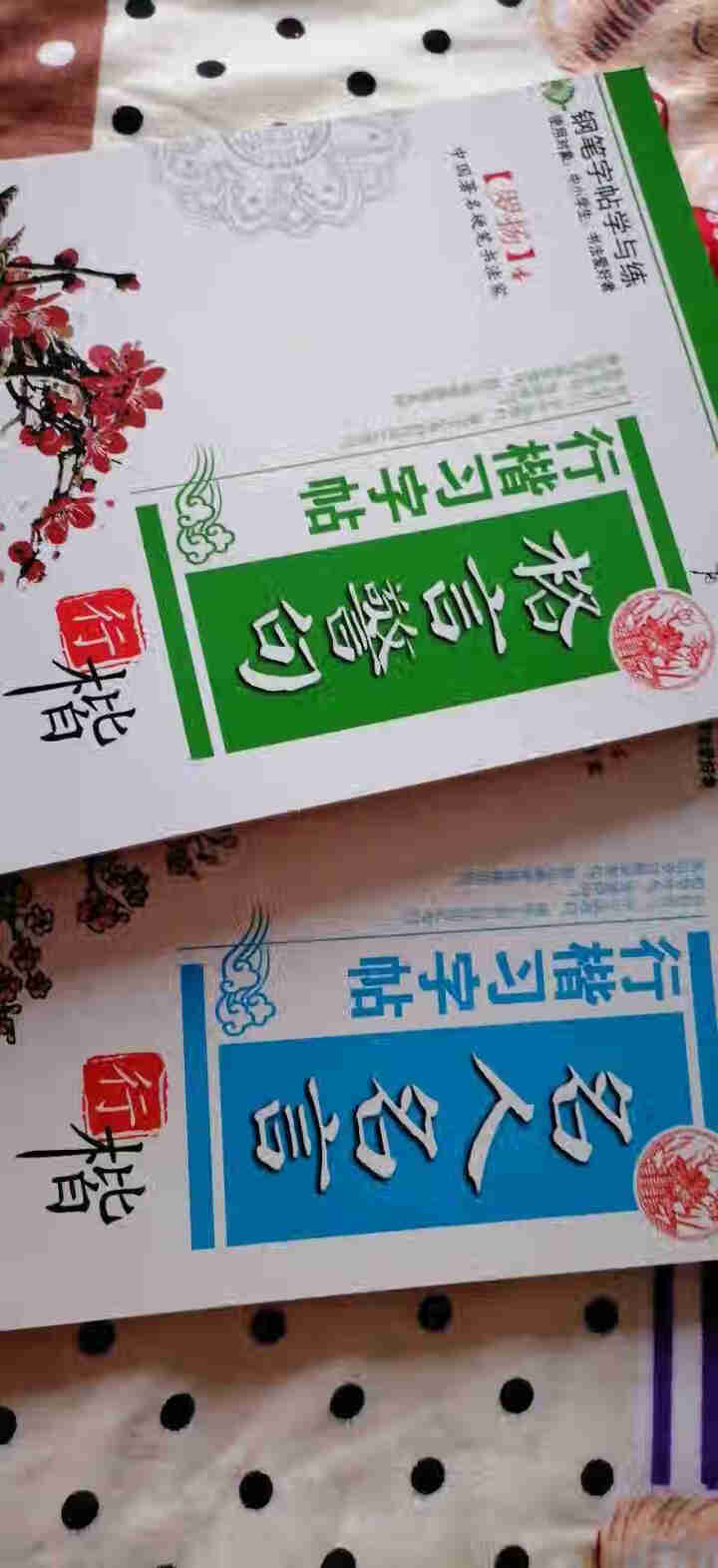 罗杨硬笔书法钢笔字帖全4册 钢笔行楷习字贴唐诗宋词名言格言警句 儿童练字帖中小学生钢笔字帖 行楷怎么样，好用吗，口碑，心得，评价，试用报告,第4张