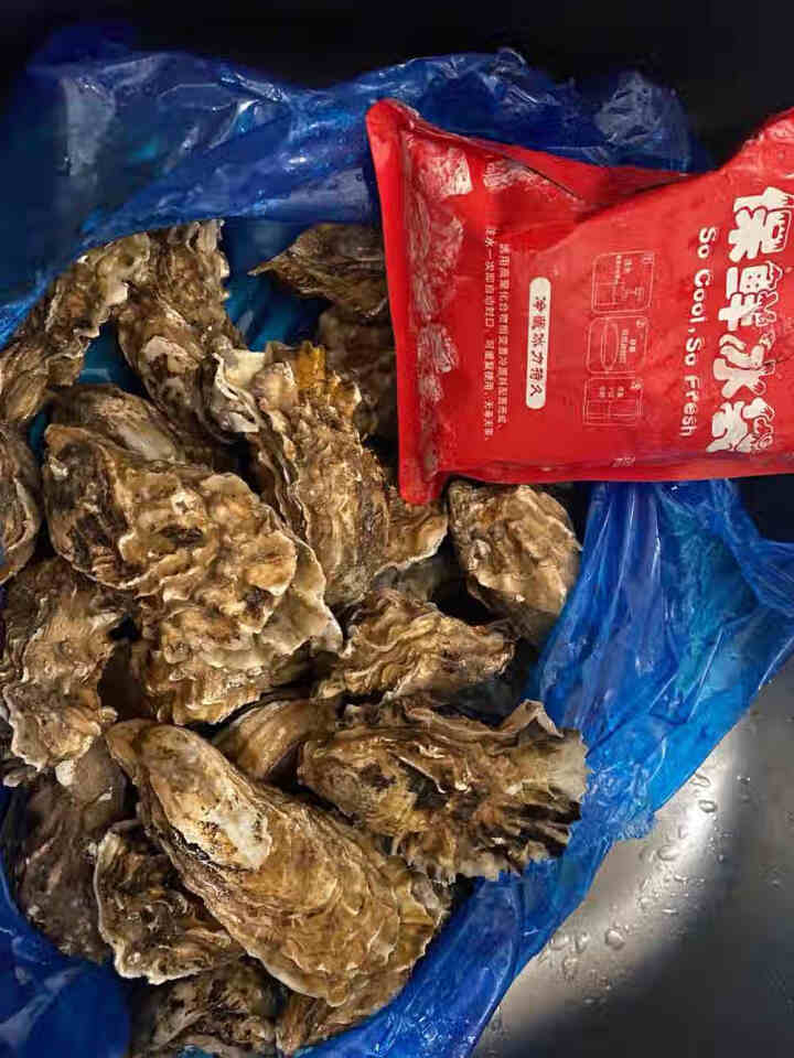 【活鲜】南泓村 乳山生蚝 鲜活牡蛎2kg新鲜海蛎子 海鲜水产生蚝 刺身生蚝 乳山生蚝 (A规格,第2张