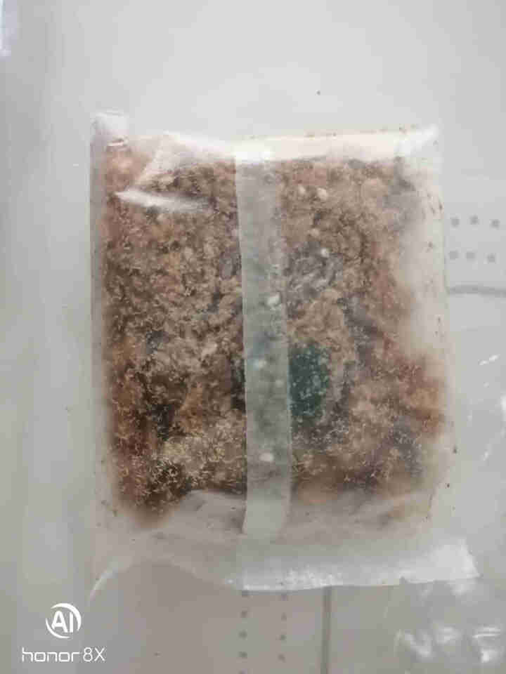 茂声 芝麻海苔肉松165g 猪肉松肉酥福建特产儿童肉松早餐营养休闲零食下饭菜无添加豆粉 165g怎么样，好用吗，口碑，心得，评价，试用报告,第4张