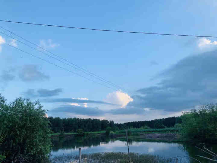 旗舰正品授权蓓趣医护级婴儿男女宝宝纸尿裤拉拉裤薄柔透气干爽不红屁股不侧漏不返渗 活动链接，联系客服备注尺码怎么样，好用吗，口碑，心得，评价，试用报告,第4张