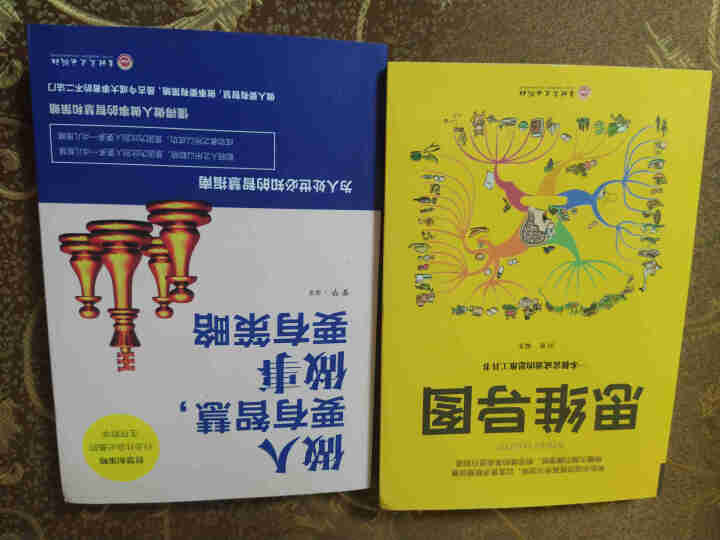 思维导图思维风暴 全5册 人际交往成功励志书 高效时间管理学提高工作学习效率书最强大脑记忆力训练书怎么样，好用吗，口碑，心得，评价，试用报告,第3张