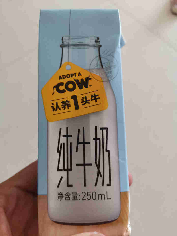 【2提装】认养一头牛 全脂纯牛奶 250ml*12盒*2箱儿童学生成人营养早餐纯奶整箱 两提装怎么样，好用吗，口碑，心得，评价，试用报告,第2张