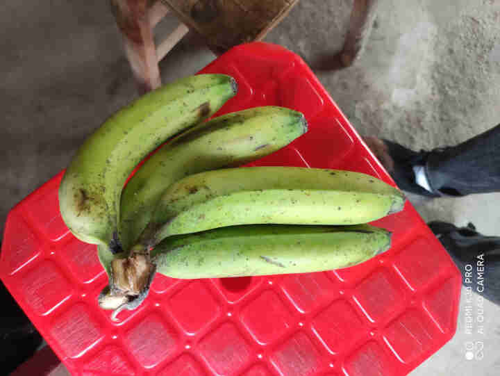 【广西土香蕉】广西香蕉芭蕉土香蕉农家特产新鲜发货自然熟香蕉土法催熟 一斤试限量品尝 常规发货回去自己催熟怎么样，好用吗，口碑，心得，评价，试用报告,第2张