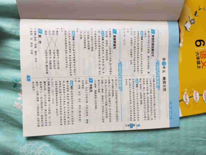 2020秋π阅读主题同步练小学语文阅读理解专项训练每日一练答案详解 六年级 语文 上怎么样，好用吗，口碑，心得，评价，试用报告,第5张