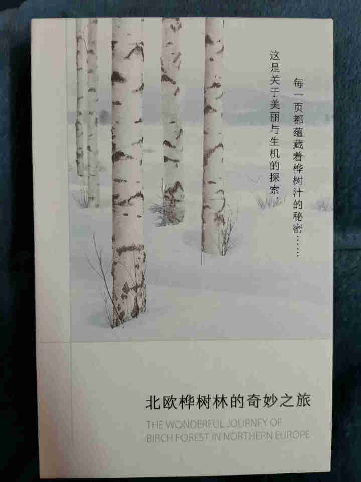 养生堂（YOSEIDO）天然桦树汁 补水 保湿面膜日本进口 男女 天然补水 桦树汁保湿面膜 1片怎么样，好用吗，口碑，心得，评价，试用报告,第4张