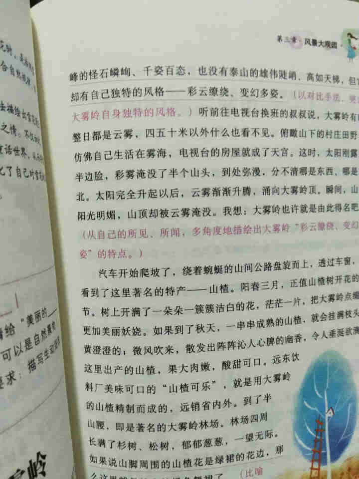 2020黄冈作文小学生三四五六年级写作日记看图写话分类作文大全 10本套装 黄冈作文怎么样，好用吗，口碑，心得，评价，试用报告,第2张