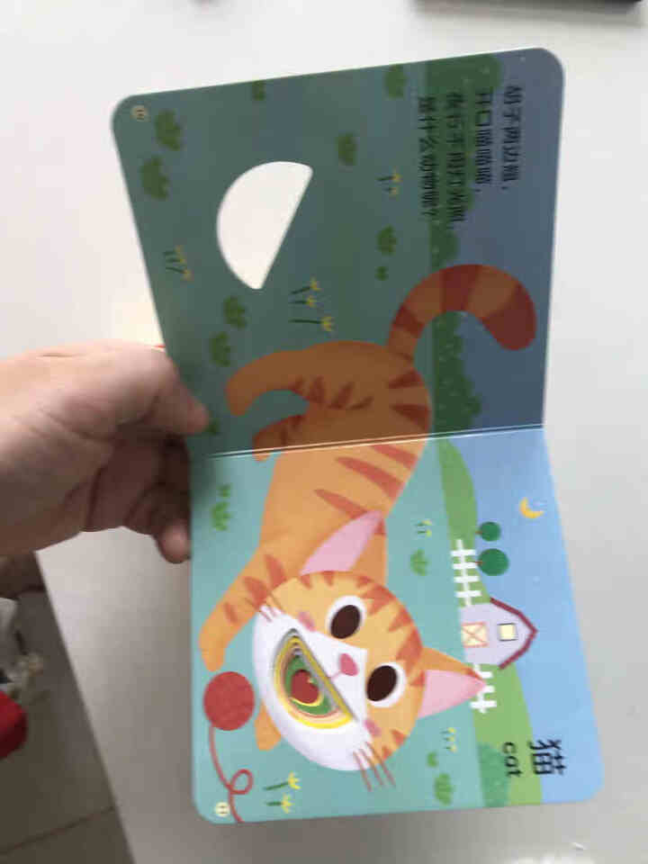 猜猜我是谁妙趣洞洞书正版全6册 婴幼儿启蒙早教认知立体翻翻书绘本书籍怎么样，好用吗，口碑，心得，评价，试用报告,第3张