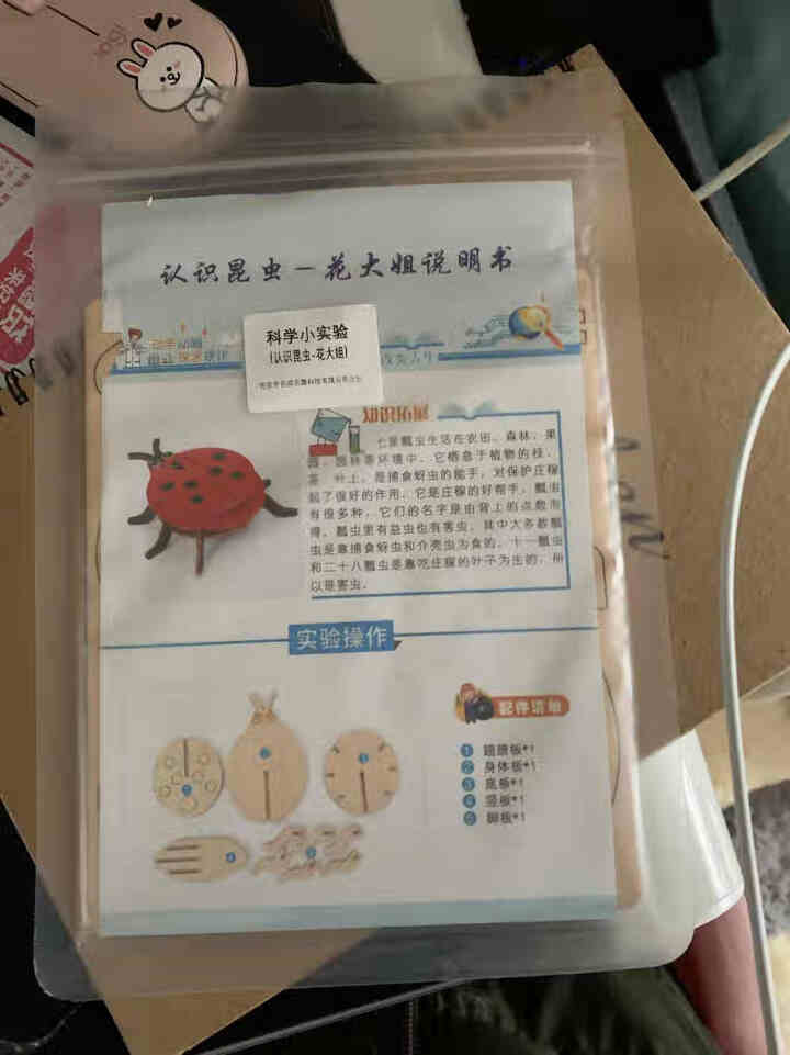 创羽王国幼儿园大小班儿童科技小制作小发明diy手工材料小学生男孩女孩生日礼物认识昆虫七星瓢虫科学实验 原木色怎么样，好用吗，口碑，心得，评价，试用报告,第2张