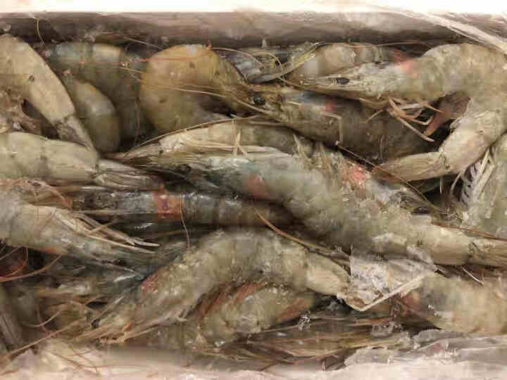 【顺丰京东】湛江活冻白虾 国产大号基围虾 含冰2KG 大虾 火锅食材 14,第7张