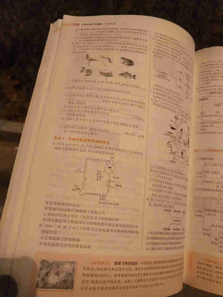 包邮 5年中考3年模拟中考语文数学英语物理化学生物政治历史地理全国版人教版53五三中考版同步练习教辅 53中考生物（2020版）怎么样，好用吗，口碑，心得，评价,第4张