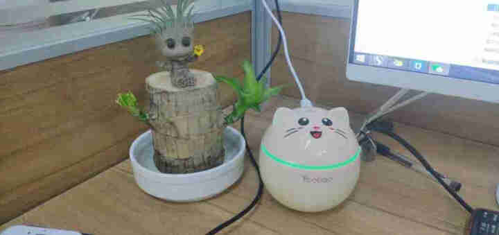 【美意达】创意猫加湿器usb迷你家用车载卧室空气加湿礼品 白色怎么样，好用吗，口碑，心得，评价，试用报告,第4张