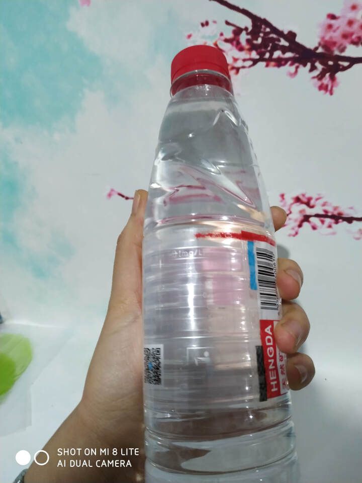 【整箱买一送一】恒大 天然矿泉水饮用水瓶装水非纯净水 550ml*1瓶（样品不售卖）怎么样，好用吗，口碑，心得，评价，试用报告,第4张