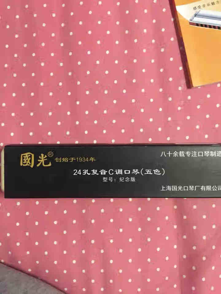 国光口琴24孔复音C调纪念版重音回音中小学生成人专业初学演奏口风琴乐器教材 复音c调黑色+全套自学礼包怎么样，好用吗，口碑，心得，评价，试用报告,第2张