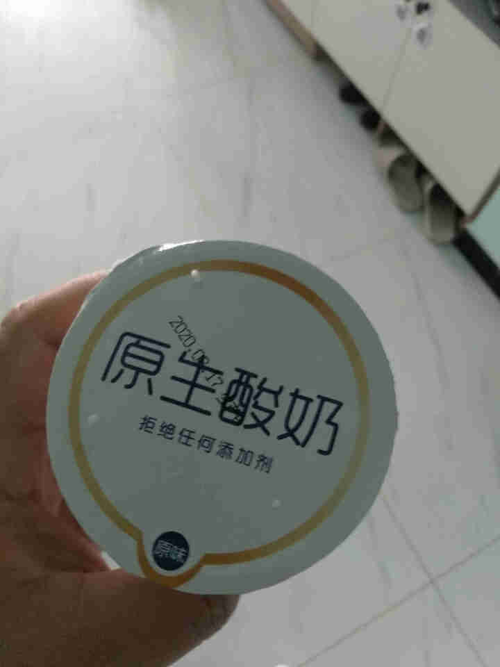 康诺益生菌酸奶原生无添加剂低温原味老酸奶鲜奶发酵酸牛奶180g/杯*10非安慕希风味乳酸菌饮品 尝新装180g*2杯怎么样，好用吗，口碑，心得，评价，试用报告,第3张