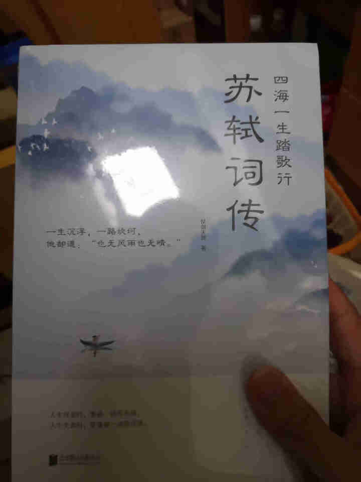 全4册中国文学经典诗词全4册李清照词传苏轼词传李煜词传纳兰性德词传中华古典文学诗词书籍怎么样，好用吗，口碑，心得，评价，试用报告,第4张