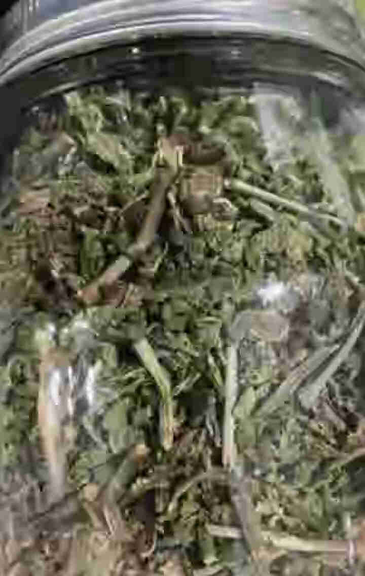 【买3罐=发4罐】薄荷叶新鲜干薄荷茶叶瓶装食用泡茶泡水喝的东西清神清凉凉茶花茶怎么样，好用吗，口碑，心得，评价，试用报告,第2张