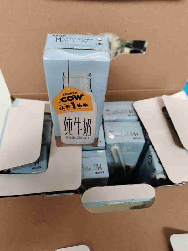 认养一头牛 全脂纯牛奶 250ml*12盒*1箱儿童学生营养早餐纯奶整箱 原味怎么样，好用吗，口碑，心得，评价，试用报告,第4张